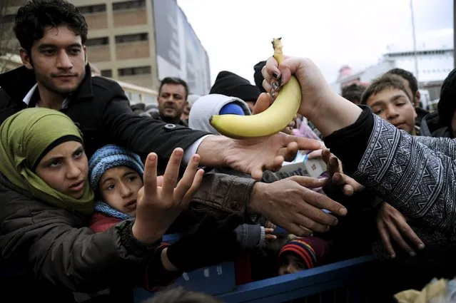 Refugees and migrants reach out to receive free food handed out by volunteers at the port of Piraeus, near Athens, Greece,  March 8,  2016. (Photo by Michalis Karagiannis/Reuters)