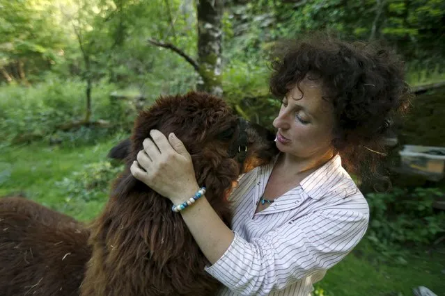 Lisa Vella-Gatt, 46, hugs an alpaca in her farm near Benfeita, Portugal May 11, 2015. (Photo by Rafael Marchante/Reuters)