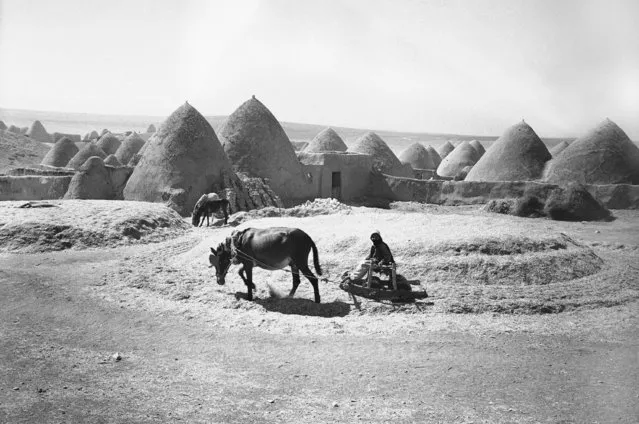 Photo shows construction of a house in Syria, on October 10, 1938 is a simple and a cheap matter. Like these two fellows, you hitch up the mules and plough up enough earth, mix in some straw and hollow it out after it's stacked in a mound a conical hut like those in the background is the result. It's cool in the summer, warm in the winter and --best of all-costs only a few dollars.  The ground provides floor as well as roof and walls. (Photo by AP Photo)