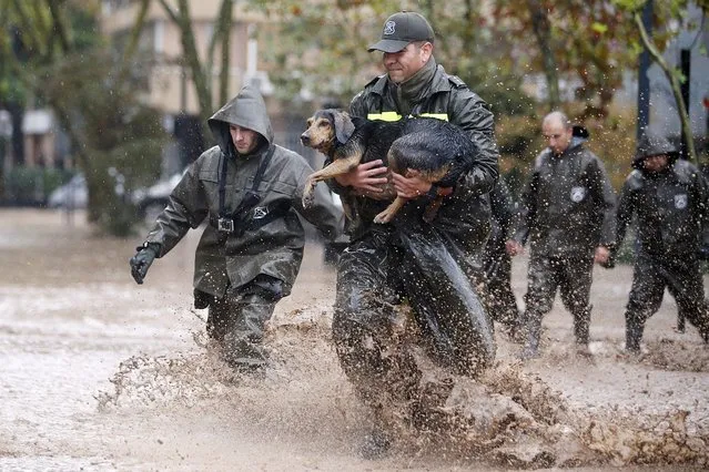 A Chilean policeman rescues a dog during a downpour in Santiago de Chile, Chile, 17 April 2016. Due to rains in the metropolitan region, authorities decreed a “red alert” as more than four million people have no drinking water and hundreds of streets were flooded. At least one person died, five are missing, and thousand were affected by swollen rivers and several landslides caused by the storm affecting central Chile since 16 April. (Photo by Mario Ruiz/EPA)