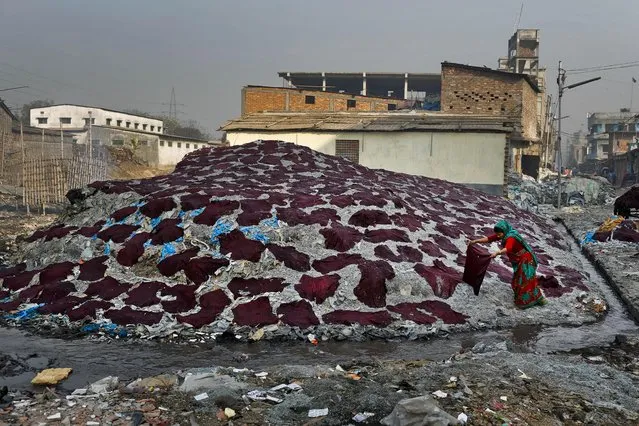 In this Monday, February 6, 2017 photo, a Bangladeshi woman puts strips of leather to dry at a tannery in Dhaka, Bangladesh. (Photo by A.M. Ahad/AP Photo)