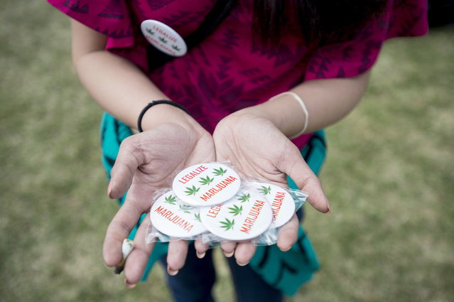 A woman holds pins supporting the legalization of marijuana at the Fill the Hill marijuana rally on Parliament Hill in Ottawa on Sunday, April 20, 2014. (Photo by Justin Tang/The Canadian Press)