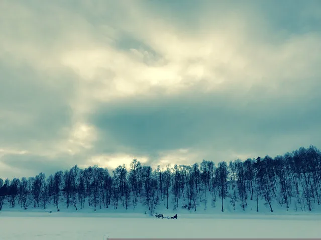 Runner-up. “I took this picture in eastern Norway, at Røros. In the mid-distance you can see my young son riding in a reindeer sleigh with my Norwegian friend’s two kids”. PAUL GOLDSTEIN, JUDGE: “Cold, but beautiful. A multi-layered shot that would adorn any tourist board literature. It is just missing a third ingredient as the composition, light and colour are excellent but where is that flock of geese when you want it?”. (Photo by Clare Louise Richardson/The Guardian)