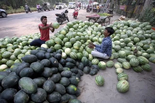 Indian vendors arrange watermelons at a roadside shop in Jammu, the winter capital of Kashmir, India, 09 May 2016. (Photo by Jaipal Singh/EPA)