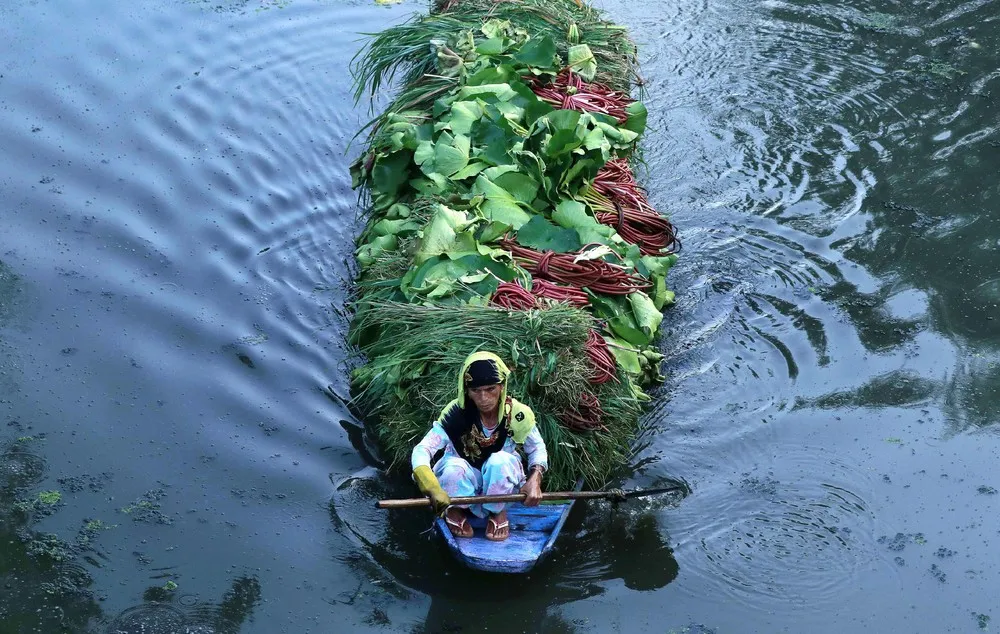 A Look at Life in India, Part 2/3