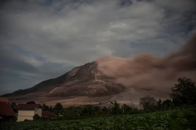 Sinabung is one of 129 active volcanoes in Indonesia, which sits on the Pacific ring of fire, a belt of seismic activity running around the basin of the Pacific Ocean. (Photo by Sutanta Aditya/Barcroft Images)