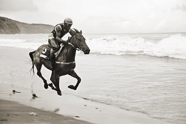 “Forces of Nature”. A wild Beach in Martinique, French West indies, The force of the atlantic waves breaking on the shore of the north of the island, the strenght of both the man and the horse riding along... This race of thoroughbred horses happens once a year for the town festival. Photo location: Sainte Marie, Martinique, French West Indies. (Photo and caption by Nicolas Derné/National Geographic Photo Contest)