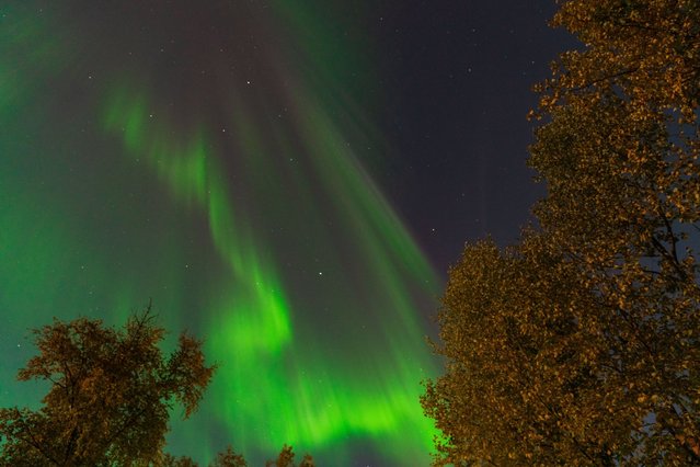 Northern lights (Aurora Borealis) illuminate the sky in Alaska, United States on September 16, 2024. (Photo by Hasan Akbas/Anadolu via Getty Images)