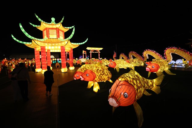 People visit Illumi light installations with their dogs in Mississauga area of Toronto, Canada on August 16, 2023. Illumi light installations attract people with 20â¯million lights on a 600,000 square foot site, the equivalent of 10 football fields. (Photo by Mert Alper Dervis/Anadolu Agency via Getty Images)