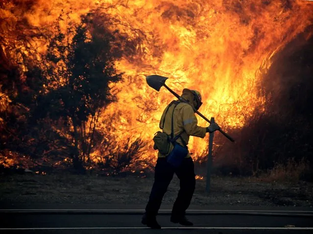 A firefighter gets into position to battle the LaTuna fire burning alongside the 210 freeway in Sunland, California, USA, 02 September 2017. The LaTuna fire has scorched over 5,000 acres and destroyed three homes. (Photo by Paul Buck/EPA/EFE)