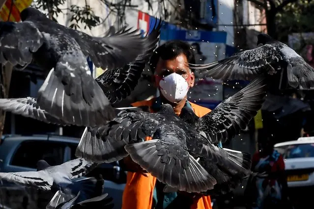 A man wearing a facemask feeds pigeons on a empty street during a 21-day government-imposed nationwide lockdown as a preventive measure against the COVID-19 coronavirus in Kolkata on March 26, 2020. (Photo by Dibyangshu Sarkar/AFP Photo)