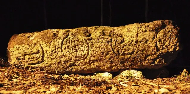 A photograph released to Reuters on August 22, 2014 shows a piece of a stela from an ancient Mayan city in Lagunita May 17, 2014. (Photo by Reuters/Research Center of the Slovenian Academy of Sciences and Arts)
