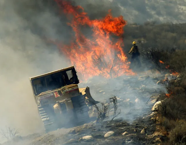 Firefighters create a firebreak as they work to stop the advance a wildfire near the town of Acton, Calif., Monday, July 25, 2016. (Photo by Nick Ut/AP Photo)