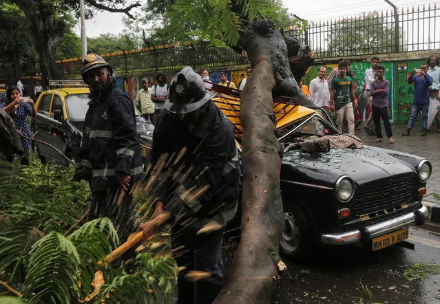 A fireman clears a fallen tree which fell on a parked taxi due to monsoon rains in Mumbai, India, August 2, 2016. (Photo by Shailesh Andrade/Reuters)