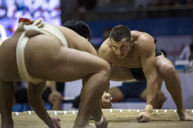 Wrestlers prepare for a match during the 2016 World Sumo Championship on July 30, 2016 in Ulaanbaatar, Mongolia. (Photo by Taylor Weidman/Getty Images)