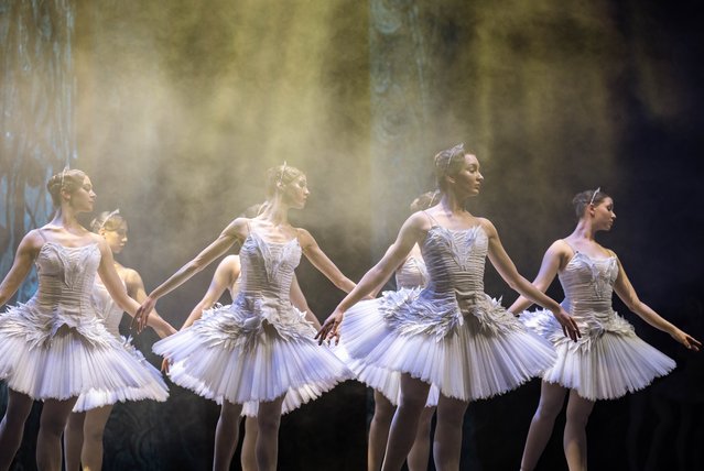 The Imperial Russian Ballet Company performs Tchaikovsky's classic work “Swan Lake” at ATO Congresium in Ankara, Turkiye on January 24, 2025. The show, which took place at ATO Congresium, attracted great interest from art lovers. Before the show, the team to take the stage wore their elaborate costumes and made their make-up. (Photo by Didem Mente/Anadolu via Getty Images)