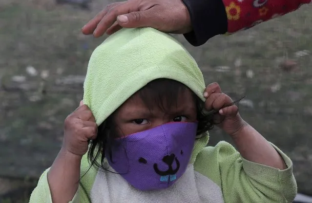 An Indigenous child puts on a mask to curb the spread of the new coronavirus while walking with his mother through the fields in Cayambe, Ecuador, Wednesday, June 17, 2020. Indigenous communities in Ecuador have implemented their security methods to prevent the virus from entering their lands, especially since they do not have health centers that can take care of them if the disease becomes serious. (Photo by Dolores Ochoa/AP Photo)