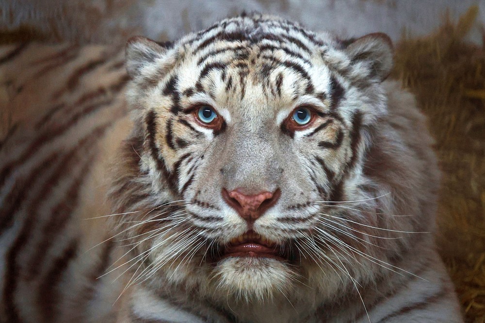 Pictures of the Year 2024, Part 008/240