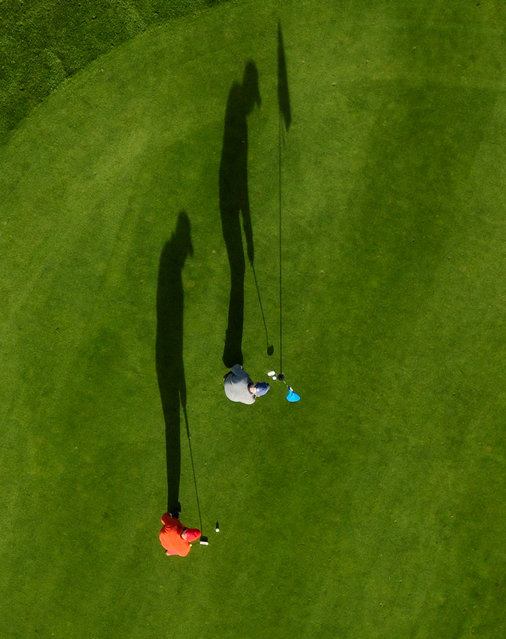 Golfers at Thorpe Wood golf course are giants of the game as they take a close shot in Peterborough, Cambridgeshire, UK on November 13, 2024. (Photo by Paul Marriott)