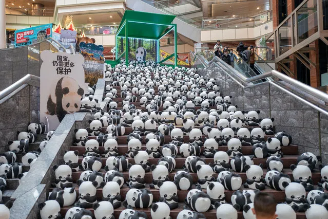 An installation of paper pandas is on display during 1,864 Panda Touring Exhibition at the Super Brand Mall on December 5, 2022 in Shanghai, China. The exhibition features over 500 paper giant pandas designed by artist Han Meilin, with an aim to promote awareness of protecting endangered wild animals. (Photo by VCG/VCG via Getty Images)