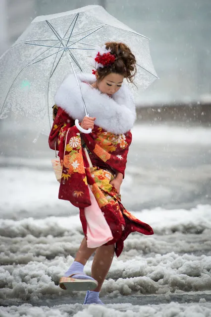 A Japanese woman in kimono attends a ceremony celebrating Coming of Age Day in heavy snowfall at Toshimaen amusement park in Tokyo January 14, 2013. Youths across Japan are honoured with special coming-of-age ceremonies when they reach the age of 20. Tokyo saw its first snowfall this season on Monday. Transportation has been affected by the weather with some flights to and from the capital's Haneda airport being cancelled, parts of the expressways have temporarily closed and local train services have been delayed. (Photo by Balbo42)