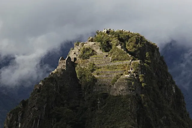 The peak of Huayna Picchu, the mountain rising above the Inca citadel of Machu Picchu, is seen in Cusco December 2, 2014. (Photo by Enrique Castro-Mendivil/Reuters)