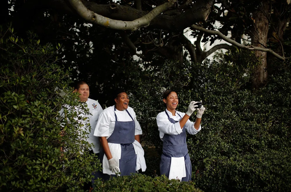 The Day in Photos – October 14, 2016