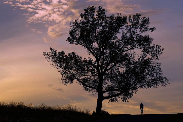 A man rides a bike at sunset in Lenexa, Kansas, on Thursday, October 23, 2025. (Photo by Charlie Riedel/AP Photo)