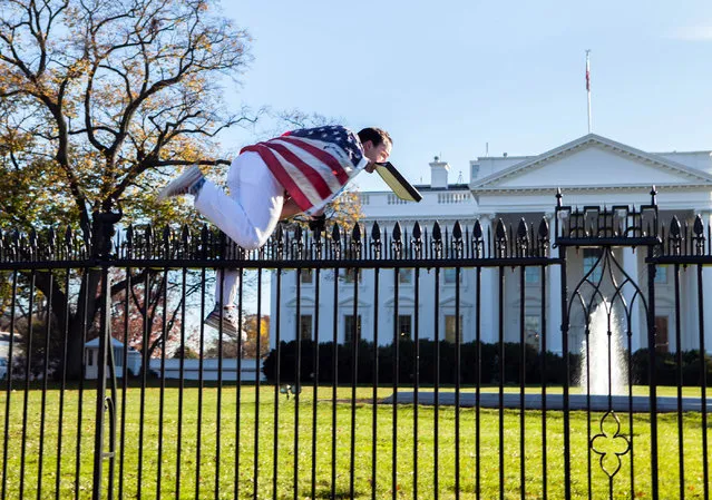 In this photo provided by Vanessa Pena, a man jumps a fence at the White House on Thursday, November 26, 2015, in Washington. The man was immediately apprehended and taken into custody pending criminal charges, the Secret Service said. President Barack Obama and his wife and daughters were spending Thanksgiving the holiday at the White House. (Photo by Vanessa Pena/AP Photo)