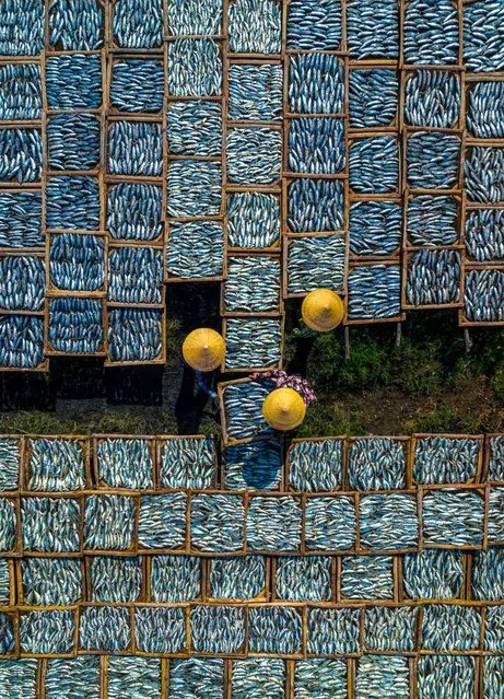 Food Photographer of the Year (South East Asia) |–Drying Fish. “These women are drying fish but they appear to be connecting the coloured patches together. The details of the fish remind me of Van Gogh’s watercolour paintings”. (Photo by Khanh Phan Thi/Pink Lady Food Awards 2023)