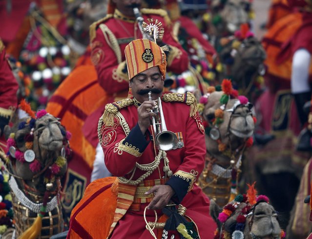 A member of the Indian Border Security Force (BSF) band rides his camel as he performs during the Republic Day parade in New Delhi January 26, 2015. (Photo by Ahmad Masood/Reuters)