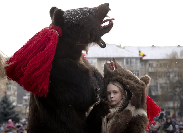 People wearing bear furs perform during a festival of New Year ritual dances attended by hundreds in Comanesti, northern Romania, Wednesday, December 30 2015. In pre-Christian rural traditions, dancers wearing colored costumes or animal furs, toured from house to house in villages singing and dancing to ward off evil, in the present the tradition has moved to Romania's cities too, where dancers travel to perform the ritual for money. (Photo by Vadim Ghirda/AP Photo)