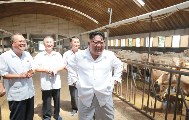 This undated picture released by North Korea' s official Korean Central News Agency (KCNA) on August 13, 2018 via KNS shows North Korean leader Kim Jong Un (C) inspecting the Ungok Area General Stock Farm in South Pyongan Province. (Photo by Reuters/KCNA via KNS)