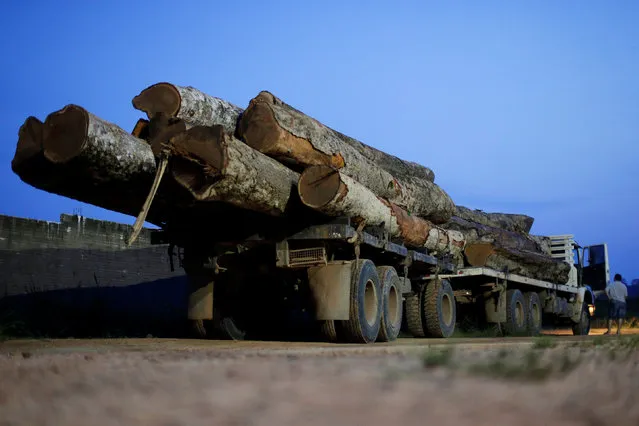A truck loaded with tree trunks is escorted by Brazilian Institute for the Environment and Renewable Natural Resources, or Ibama, agents during an operation to combat illegal mining and logging, in the municipality of Novo Progresso, Para State, northern Brazil, November 9, 2016. (Photo by Ueslei Marcelino/Reuters)