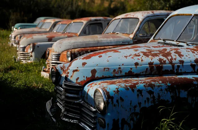 Retro cars owned by retired mechanic Krasinets are displayed at an open-air museum of Soviet-era vehicles in the village of Chernousovo, Tula region, Russia on September 27, 2018. (Photo by Maxim Shemetov/Reuters)