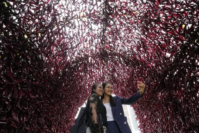Women take a selfie inside a tunnel made with red peppers during H.O.T Festival at Seoul Plaza in Seoul, South Korea, Monday, September 18, 2023. (Photo by Ahn Young-joon/AP Photo)