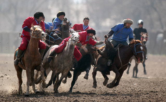 Kyrgyz horsemen participate in the traditional Central Asian sport of Kok-boru (goat dragging), a competition held as part of the Navruz celebrations in Bishkek, Kyrgyzstan, 17 March 2015. Kok-boru is a game where players grab a goat carcass from the ground while riding their horses and try to score by placing it in their opponent's goal. (Photo by Igor Kovalenko/EPA)