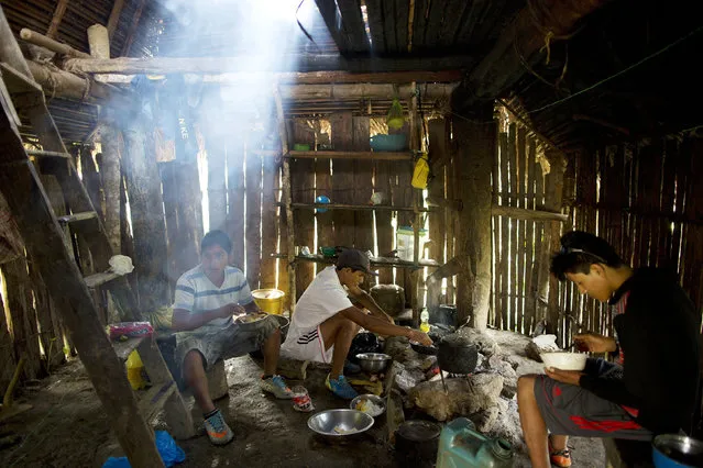 In this March 13, 2015 photo, Donato, from left, Delfin, and Jony, eat breakfast before starting their work day of weeding coca fields, in La Mar, province of Ayacucho, Peru. Peru's cocaine trade is highly decentralized, run by scores of extended families who sell to representatives of foreign cartels. (Photo by Rodrigo Abd/AP Photo)