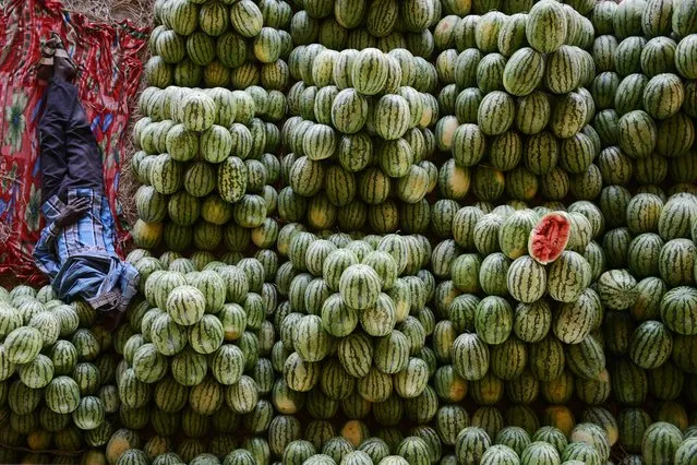 An Indian farmer rests among watermelons at his fruit stall prior to auctioning them at the Gaddiannaram wholesale fruit market on the outskirts of Hyderabad on March 19, 2014. India's inflation hit a nine-month low in February data showed, but analysts saw little chance of any immediate intrest rate cut. Slowing inflation may also have come too late for the embattled Congress-led goverment which faces elections in April and trails in opinion polls. (Photo by Noah Seelam/AFP Photo)