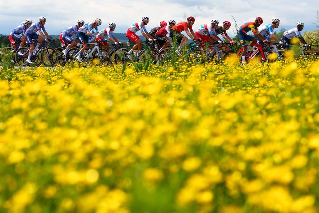 The pack rides during the 2nd stage of the 107th Giro d'Italia cycling race, 161km between San Francesco al Campo and Sanctuary of Oropa (Biella), on May 5, 2024. (Photo by Luca Bettini/AFP Photo)