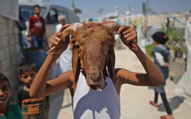 A Syrian boy plays with the head of a sacrificed sheep at a DIP camp for Interally Displaced Persons near the town of Aqrabat in Syria's northern Idlib province on August 12, 2019. Known as the “big” festival, Eid Al-Adha is celebrated each year by Muslims sacrificing various animals according to religious traditions, including cows, camels, goats and sheep. The festival marks the end of the Hajj pilgrimage to Mecca and commemorates Prophet Abraham's readiness to sacrifice his son to show obedience to God. (Photo by Aaref Watad/AFP Photo)