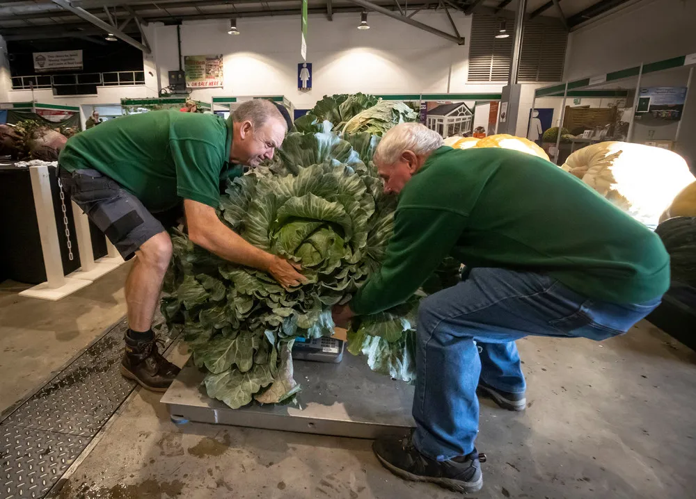 2019 NEHS Giant Vegetable Competition