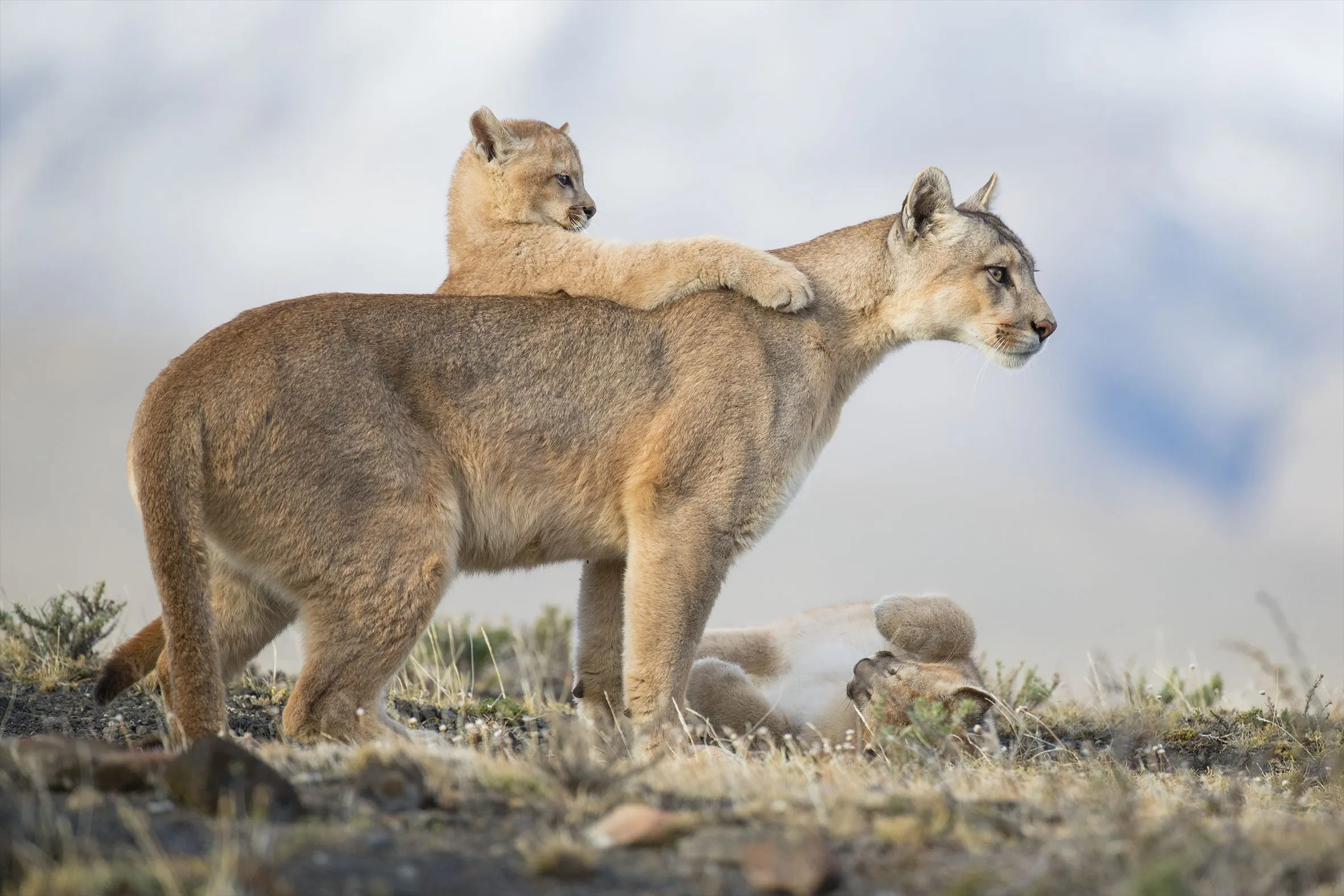 world-nature-photography-awards-2021-winners