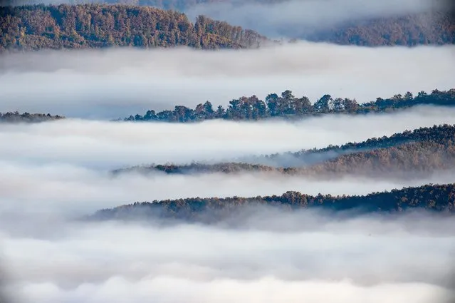 Morning mist covers the landscape near Kekesteto, Hungary, Thursday, October 17, 2019. (Photo by Peter Komka/MTI via AP Photo)