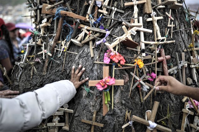 Faithful place crosses on the trunk of the Árbol de la Vida or Tree of Life during a Good Friday procession in the hills of the Ciudad Bolivar neighborhood of Bogota, Colombia, Friday, April 7, 2023. (Photo by Ivan Valencia/AP Photo)