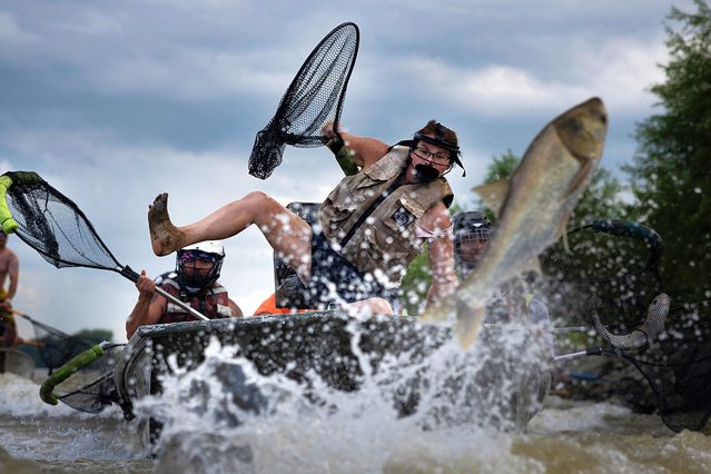 Kassie Stuckemeyer loses her balance after dodging a fish during Betty DeFord's Original Redneck Fishin' Tournament on August 03, 2024 in Bath, Illinois. The annual fishing tournament targets Asian carp (also known as copi or silver carp) which is an invasive species in the Illinois river that has been destructive to the natural ecosystem and hazardous to boaters because of the propensity of the fish to leap up to 10 feet out of the water when spooked by vibrations from boat motors. Participants in the tournament use only fish landing nets to try and catch the fish while they are airborne. Many tournament anglers wear helmets and other protective gear to help prevent injuries when they get struck by airborne fish during the contest. Proceeds from the tournament are used to help homeless veterans. The captured fish are processed into fertilizer. (Photo by Scott Olson/Getty Images)