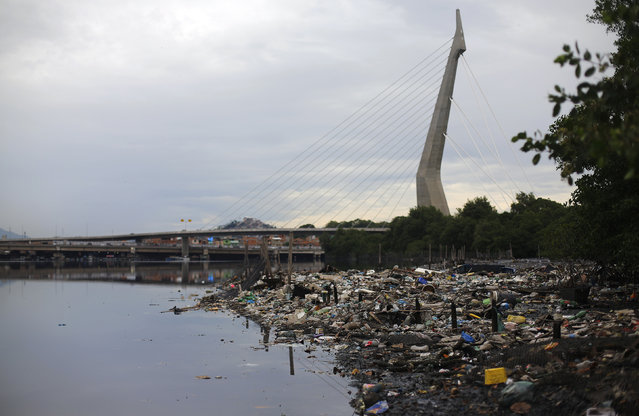 Rubbish covers the banks of Cunha channel, which flows into Guanabara Bay, during a press tour in Rio de Janeiro, March 10, 2015. (Photo by Ricardo Moraes/Reuters)