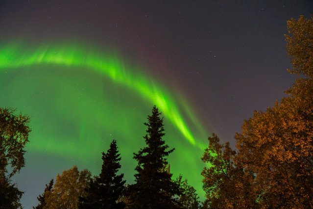 Northern lights (Aurora Borealis) illuminate the sky in Alaska, United States on September 16, 2024. (Photo by Hasan Akbas/Anadolu via Getty Images)