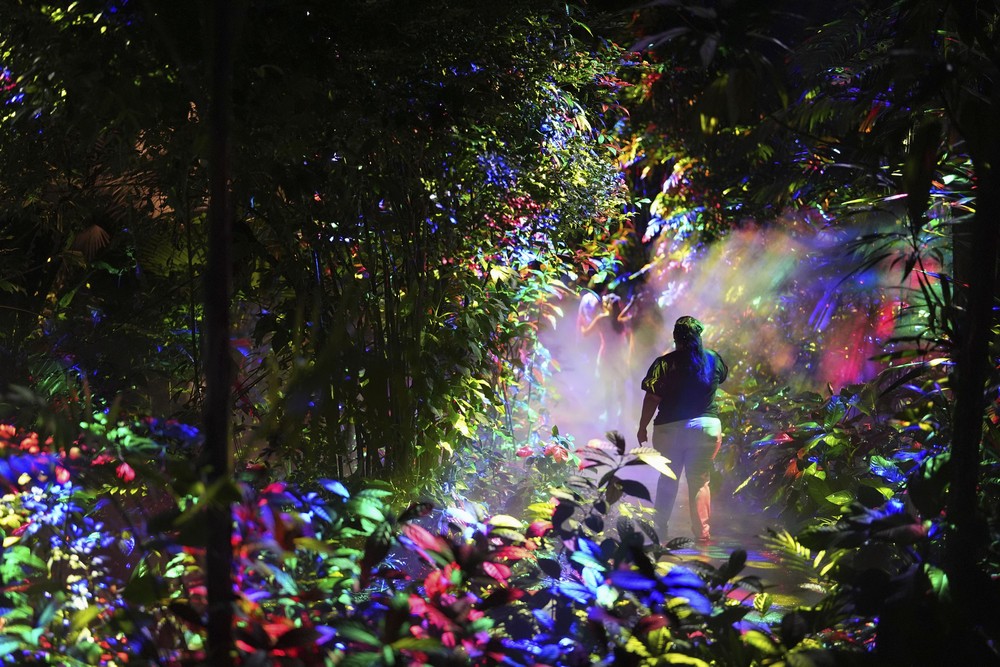 USA last Week, Part 1/2