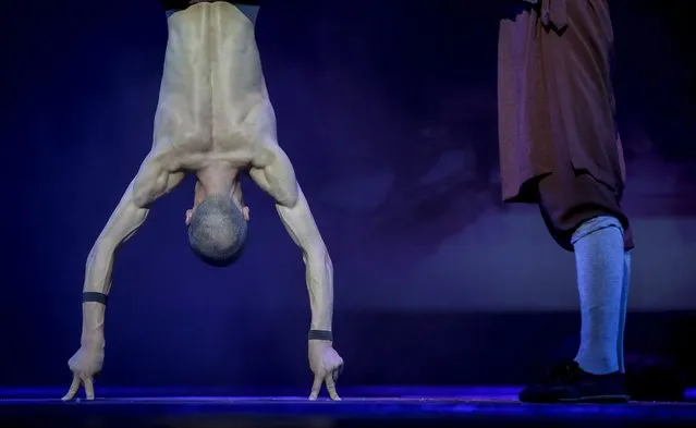 A Shaolin monk performs a handstand using two fingers from each hand during a media preview of “Shaolin” at the Marina Bay Sands in Singapore, 13 July 2016. The Shaolin monks with perform from 13 to 31 July 2016, and the show features a combination of death-defying acts, fight choreography and acrobatics by ordained Shaolin monks from China. (Photo by Wallace Woon/EPA)